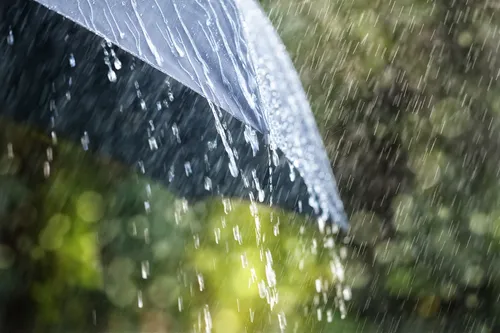 Дождь Картинки черный зонт крупным планом