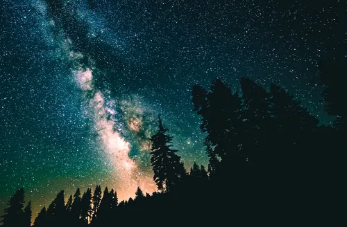 Звезды Картинки звездное ночное небо с деревьями