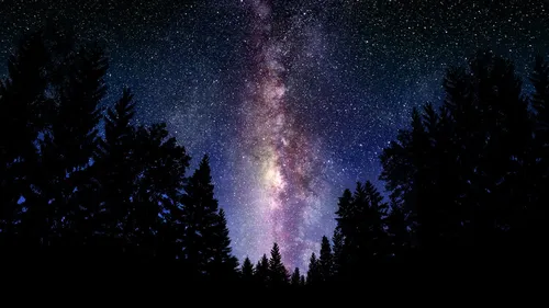 Звезды Картинки звездное ночное небо над деревьями