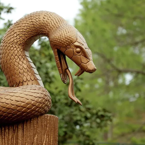 Змей Картинки змея на пне