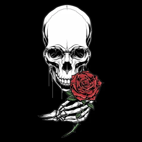 Скелеты Обои на телефон череп с розой перед ним