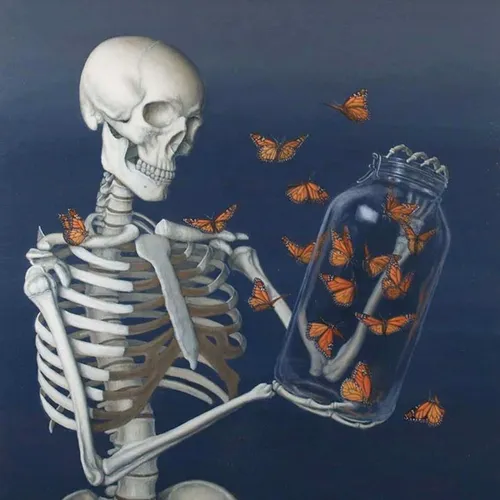 Скелеты Обои на телефон скелет с группой бабочек