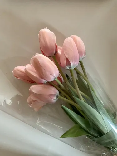 Белые Тюльпаны Обои на телефон ваза с розовыми цветами