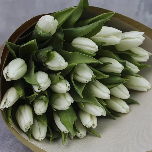 Белые Тюльпаны Обои на телефон чаша белых цветов