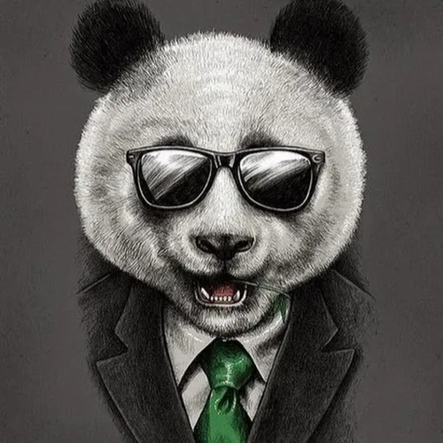 Крутые На Аву Фото человек в одежде медведя панды