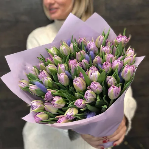Франциска ван Альмсик, Тюльпаны Фото для iPhone