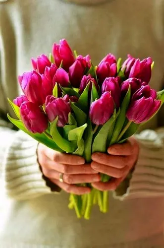 Тюльпаны Фото букет розовых цветов