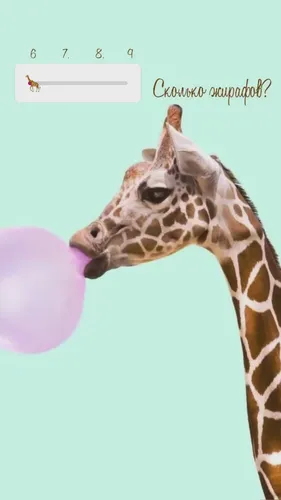 Звери Обои на телефон жираф облизывает воздушный шар