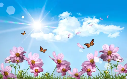 Лето Природа Обои на телефон группа бабочек, летающих над цветами