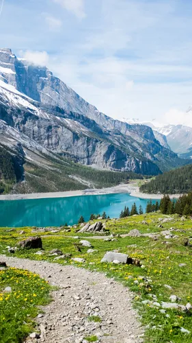 Лето Природа Обои на телефон озеро перед горой