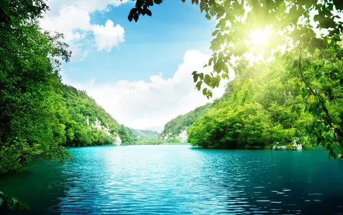 Лето Природа Обои на телефон водоем, окруженный деревьями