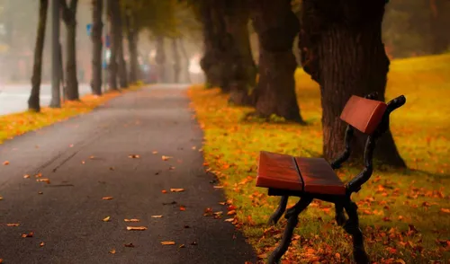 Осень Бесплатно Обои на телефон скамейка сидит незанятой