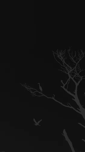 Темные Тона Обои на телефон дерево с ветвями и листьями
