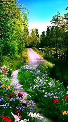 Природа Современный Обои на телефон ручей с цветами и деревьями