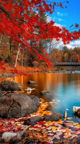 Красивые Осень Обои на телефон река с мостом и деревьями