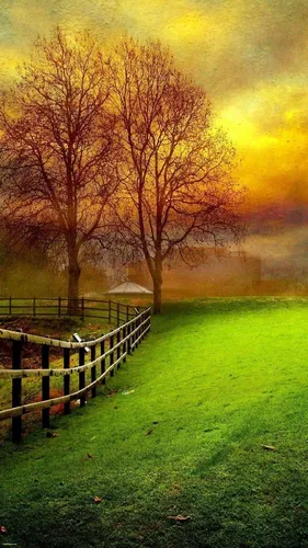 Красивые Осень Обои на телефон забор и деревья в поле