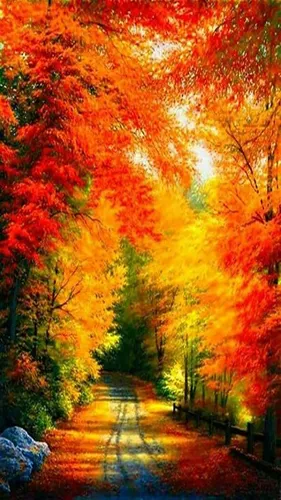 Красивые Осень Обои на телефон картинки