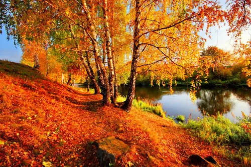 Красивые Осень Обои на телефон заставка