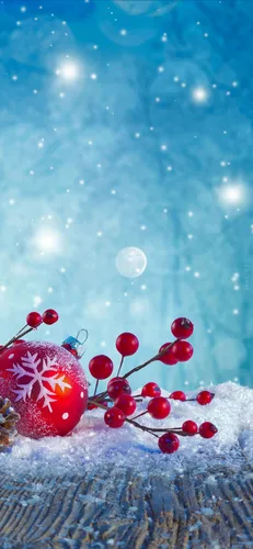 Андроид Новый Год Обои на телефон группа красных ягод на ветке в снегу