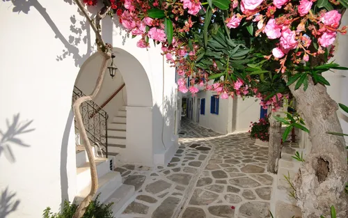 Греция Обои на телефон белое здание с розовыми цветами