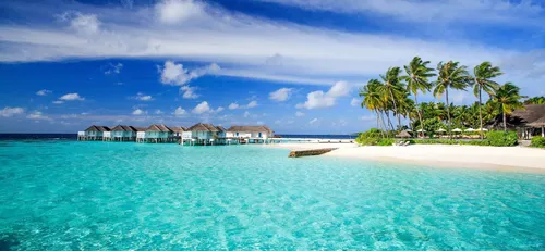Мальдивы Фото пляж с домами и деревьями