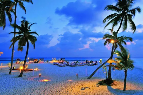Мальдивы Фото пляж с пальмами и водой