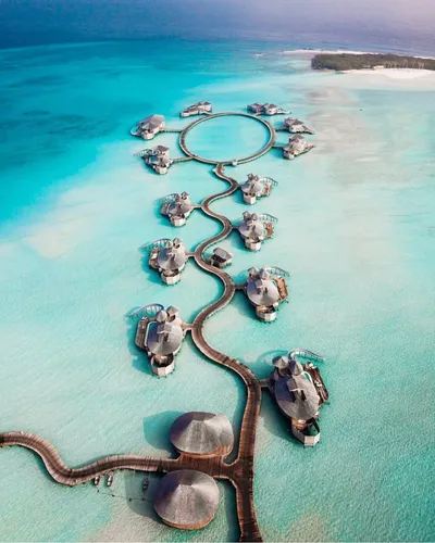 Мальдивы Фото группа черепах на веревке