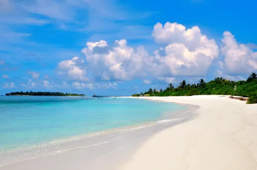 Мальдивы Фото пляж с голубой водой и деревьями