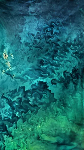Цвета Морской Волны Обои на телефон крупный план листа