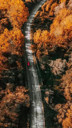 Фул Хд Обои на телефон автомобиль едет по дороге, окруженной деревьями