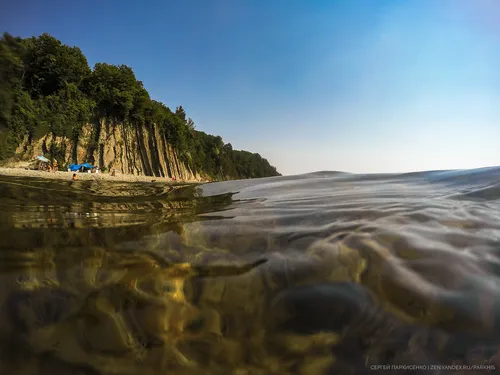 Яндекс Обои на телефон водоем с деревьями сбоку