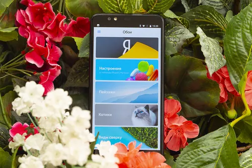 Яндекс Обои на телефон графический интерфейс пользователя, приложение