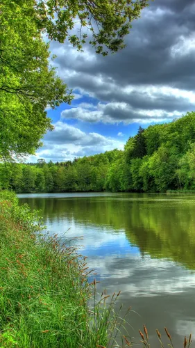 Природа Фото озеро, окруженное деревьями
