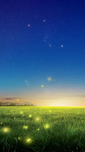 Звезда Смерти Обои на телефон травяное поле с солнцем, сияющим сквозь облака