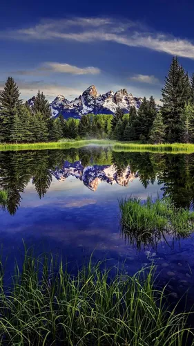 Красивые Андроид Обои на телефон озеро с деревьями и горами на заднем плане