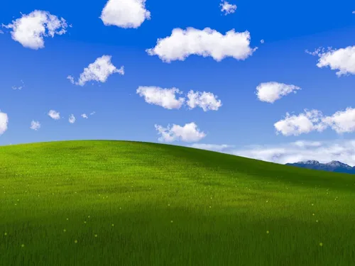 Windows Xp Обои на телефон травянистое поле с облаками