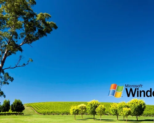 Windows Xp Обои на телефон травянистое поле с деревьями и несколькими воздушными змеями