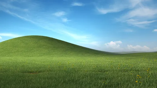 Windows Xp Обои на телефон травянистый холм с цветами