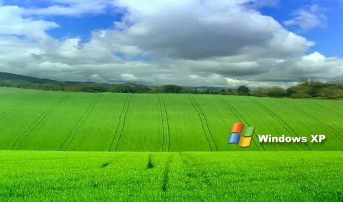 Windows Xp Обои на телефон поле зеленой травы
