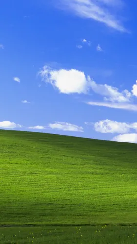 Windows Xp Обои на телефон травянистое поле с голубым небом