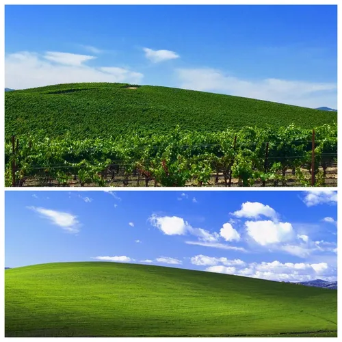 Windows Xp Обои на телефон зеленый холм с деревьями на нем