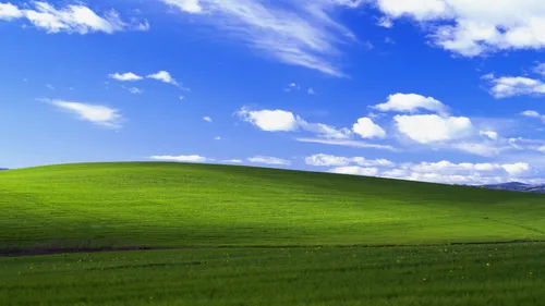 Windows Xp Обои на телефон большое зеленое поле