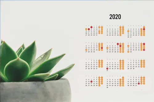 Календарь 2020 Обои на телефон растение в горшке