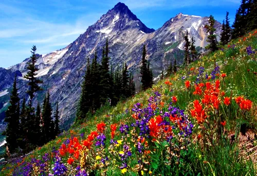 Бесплатно Природа Обои на телефон гора с цветами и деревьями