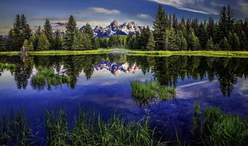 Бесплатно Природа Обои на телефон озеро с деревьями и горами на заднем плане