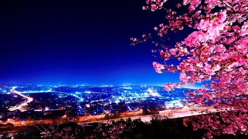 Города Мира Обои на телефон ночной город с розовыми цветами