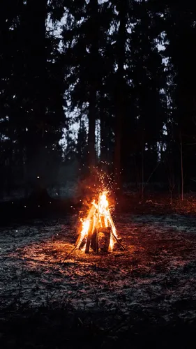 Костер Обои на телефон пожар в лесу