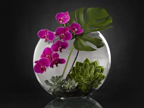 Орхидеи Обои на телефон ваза с фиолетовыми цветами