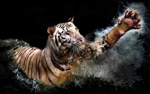 Тигренок Обои на телефон тигр в воде
