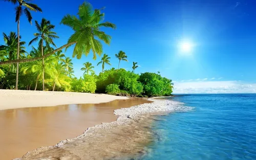 Красивые Фото пляж с пальмами и водой